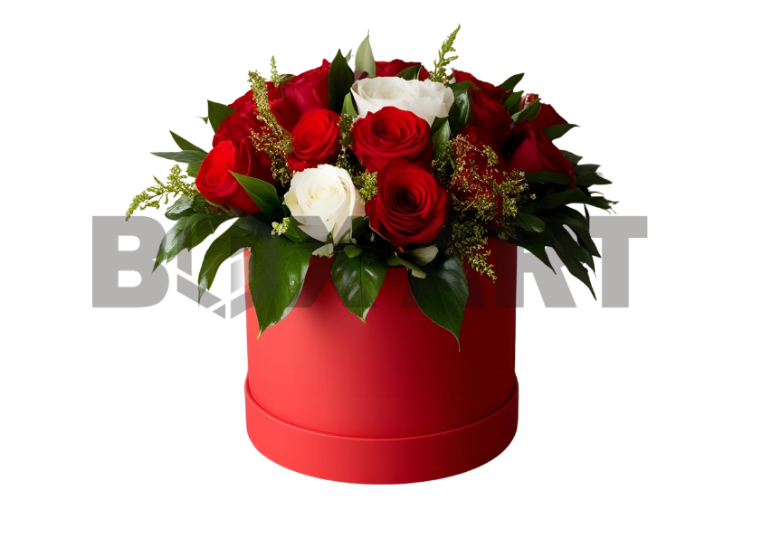 Caja premium